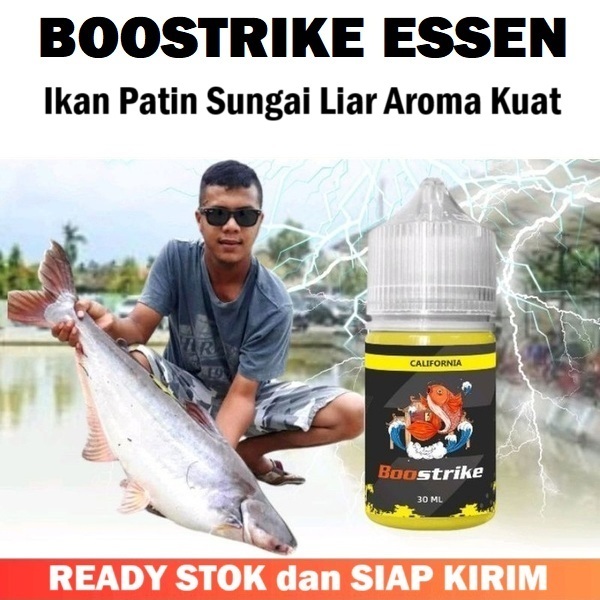 BOOSTRIKE ESSEN IKAN PATIN SUNGAI PALING THE BEST ESSEN PATIN LIAR GACOR AROMA KUAT