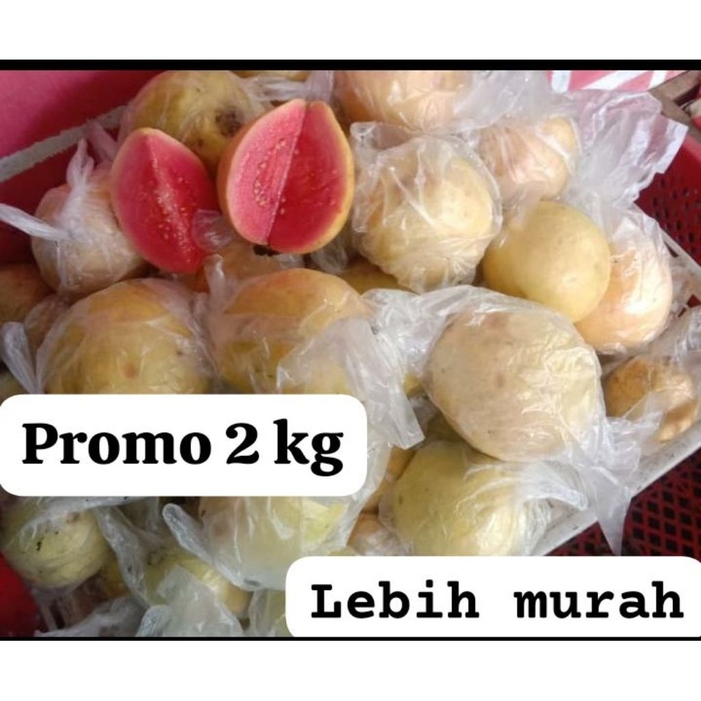 

promo jambu merah 2 kg