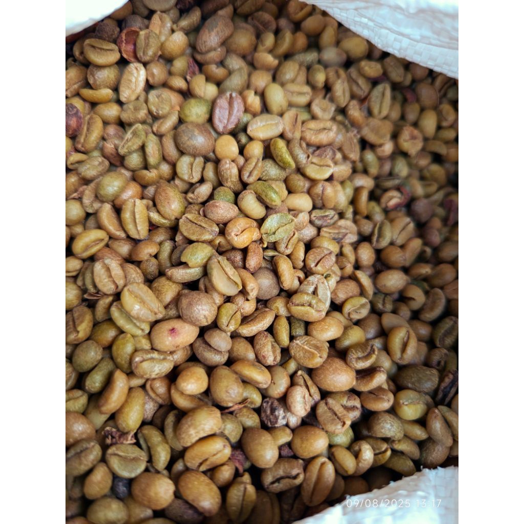 

KOPI LIBERIKA EXELSA 1kg MENTAH KOPI NANGKA