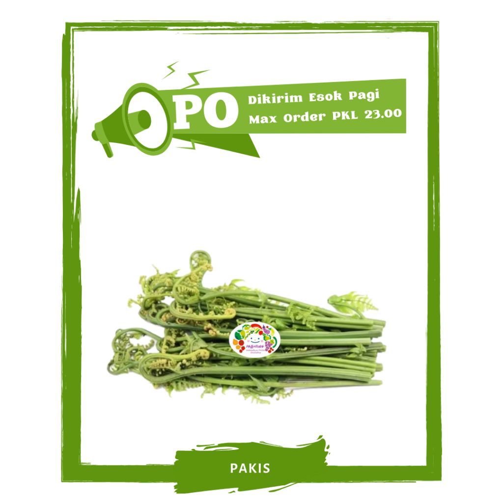 

Sayur Pakis / Pakis Menir / Sayur Segar PO Mallahrizwa