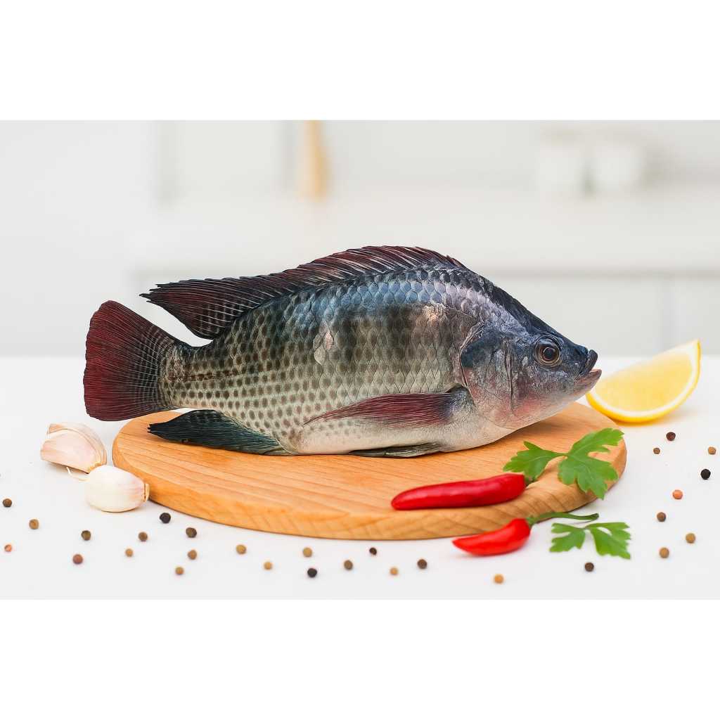 

Ikan Mujair Bersih, Segar 500 gram