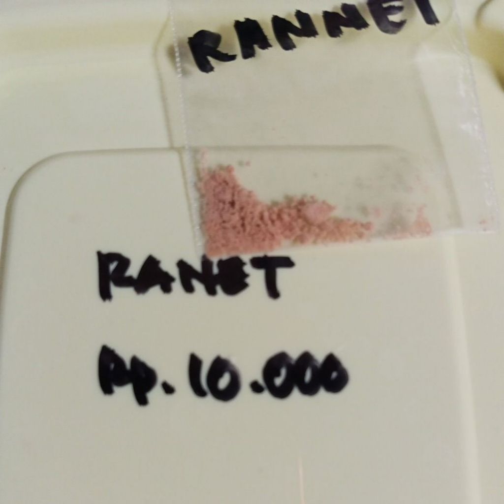 

Ranet halal parmesan Moza bisa buat 10 ltr susu, untuk keju yg lain menyesuaikan