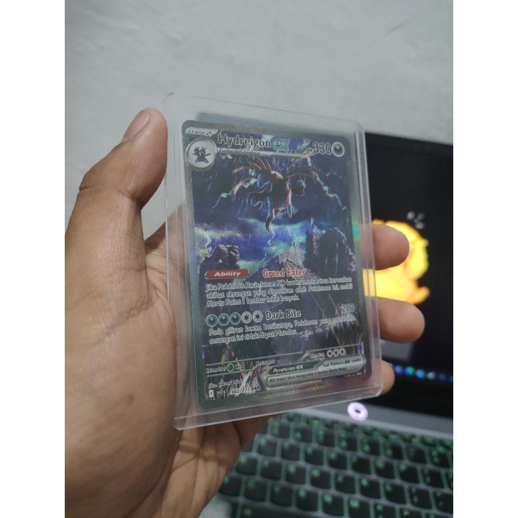 Hydreigon SAR & Pansage AR