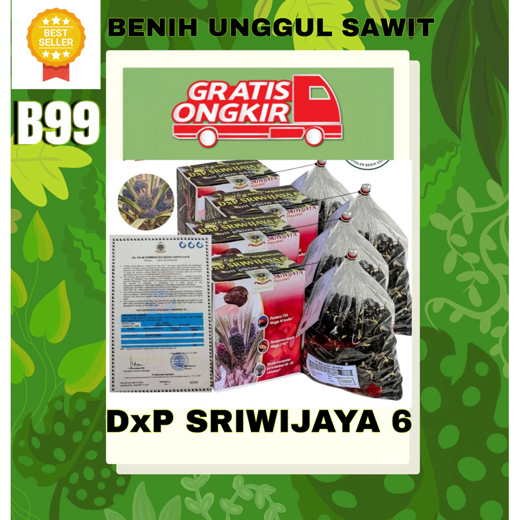DXP SRIWIJAYA 6 ISI 250 butir
