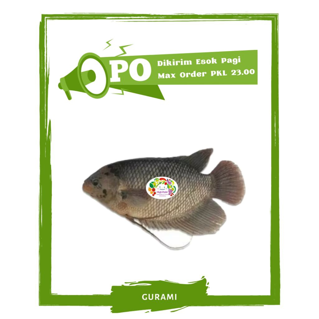 

Ikan Gurami / Ikan Segar PO Mallahrizwa