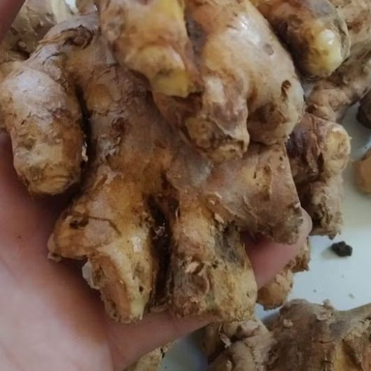 

bangle/panglay pres 500gr