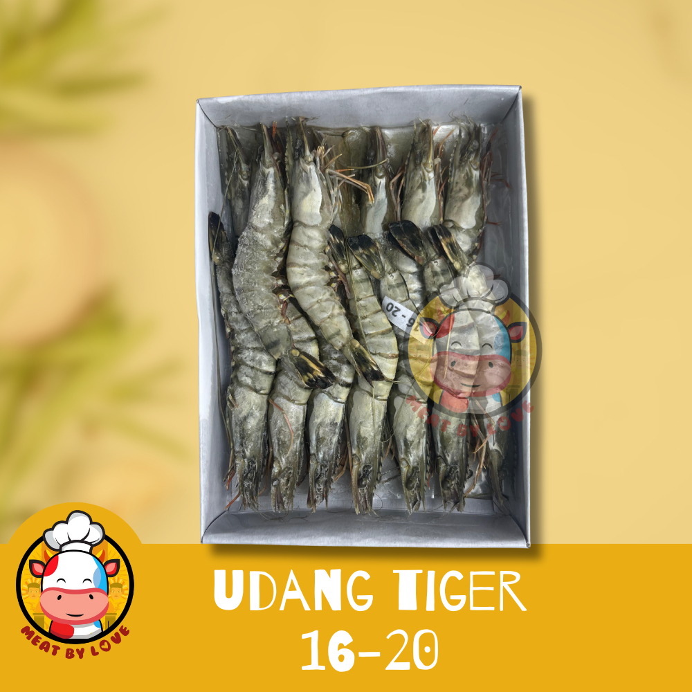 

Udang Tiger Frozen 1Kg