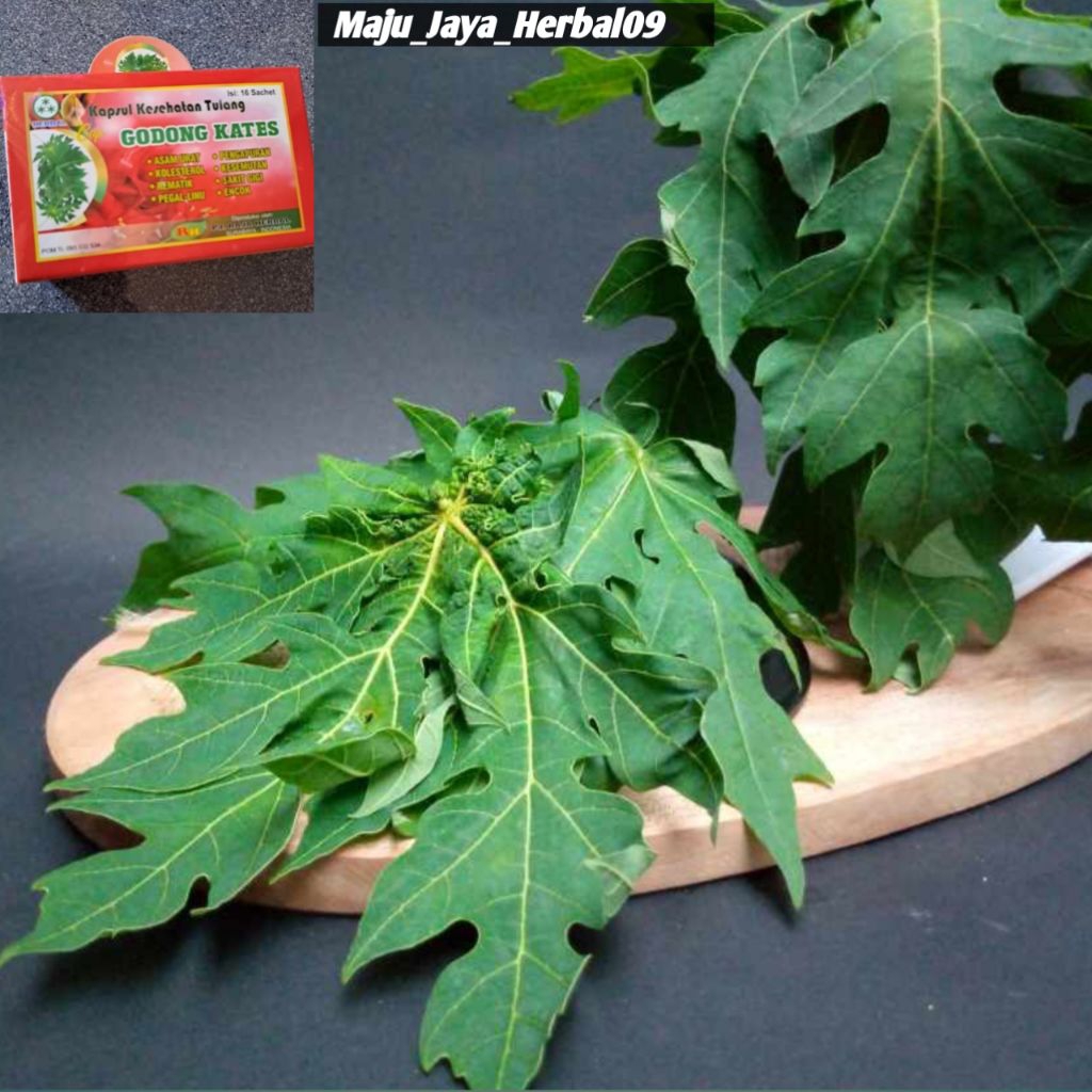 

Daun pepaya (kateseeeee)
