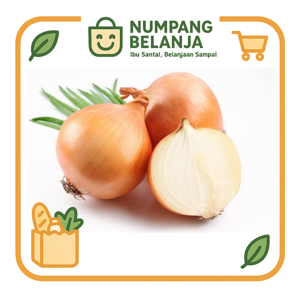 

bawang bombai [1 buah]