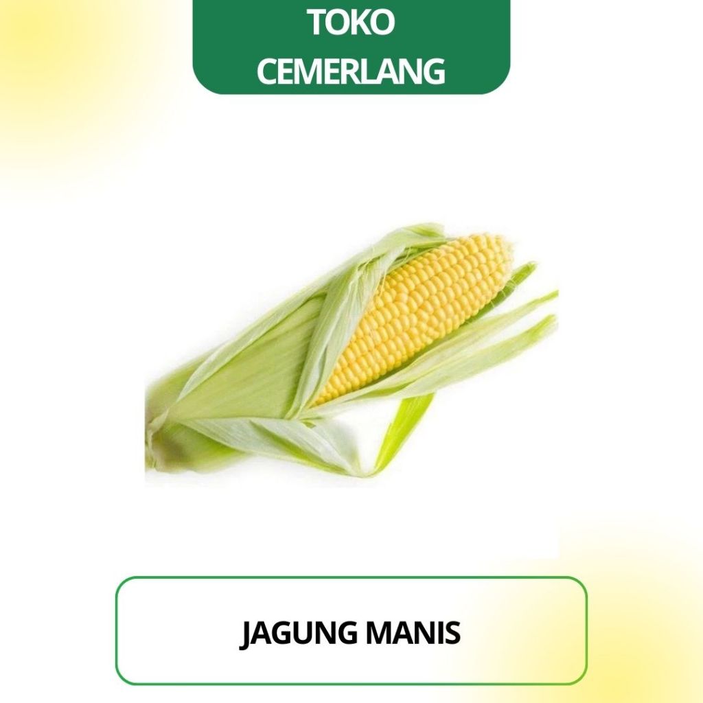

Jagung Manis 250 gr / 500 gr / 1 kg
