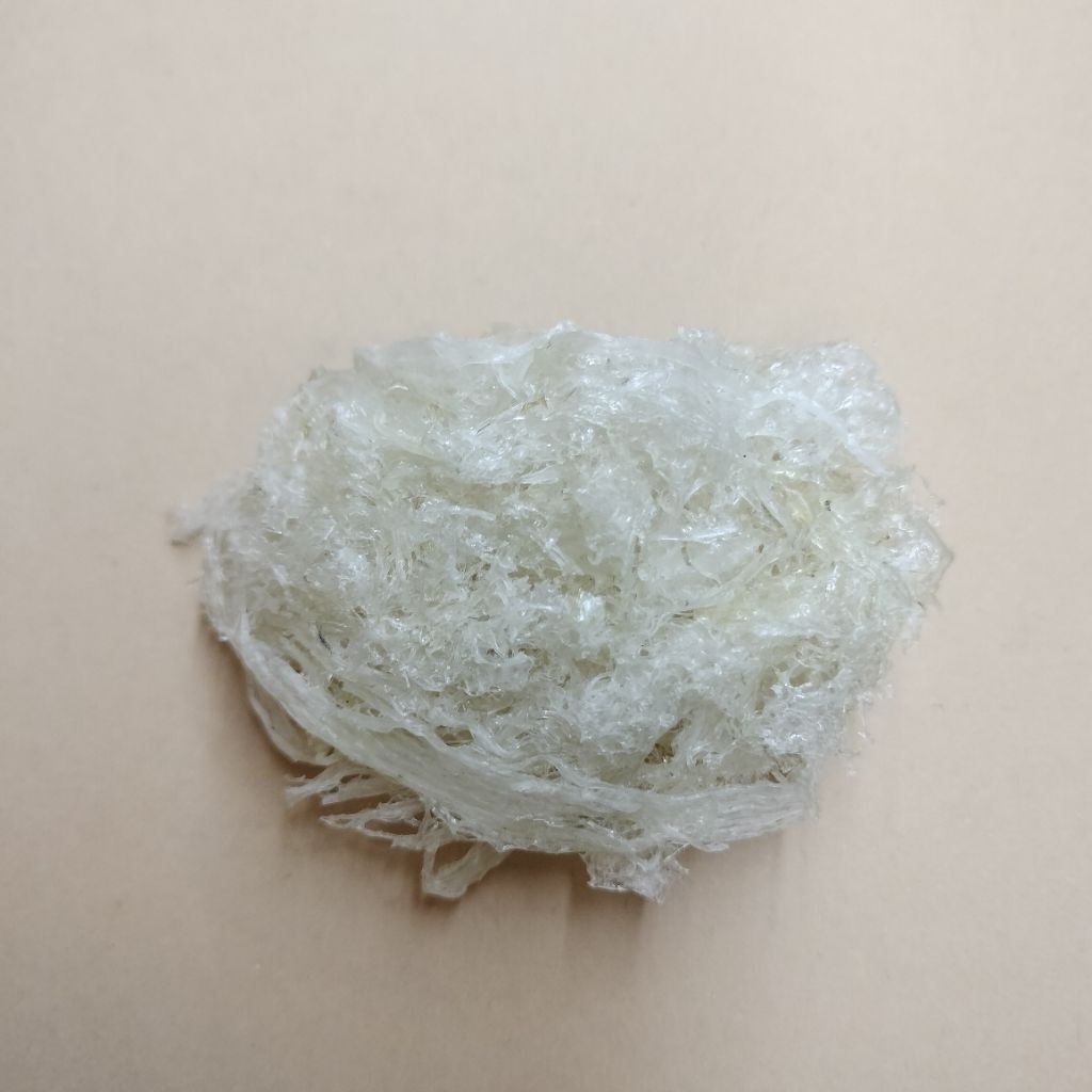 

sarang burung walet utuh - Yanwo /brid nest