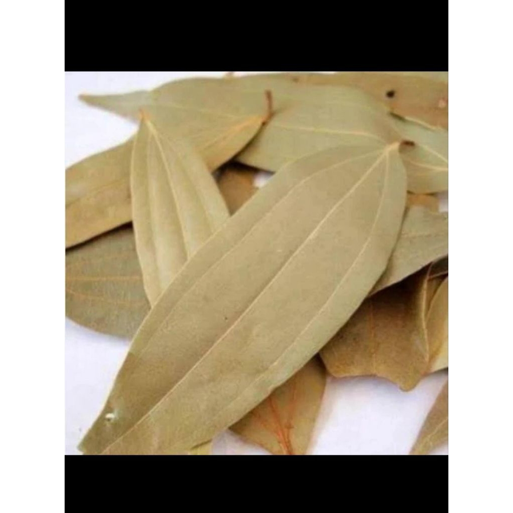 

Daun Salam Arab 1 Kg Kualitas Premium