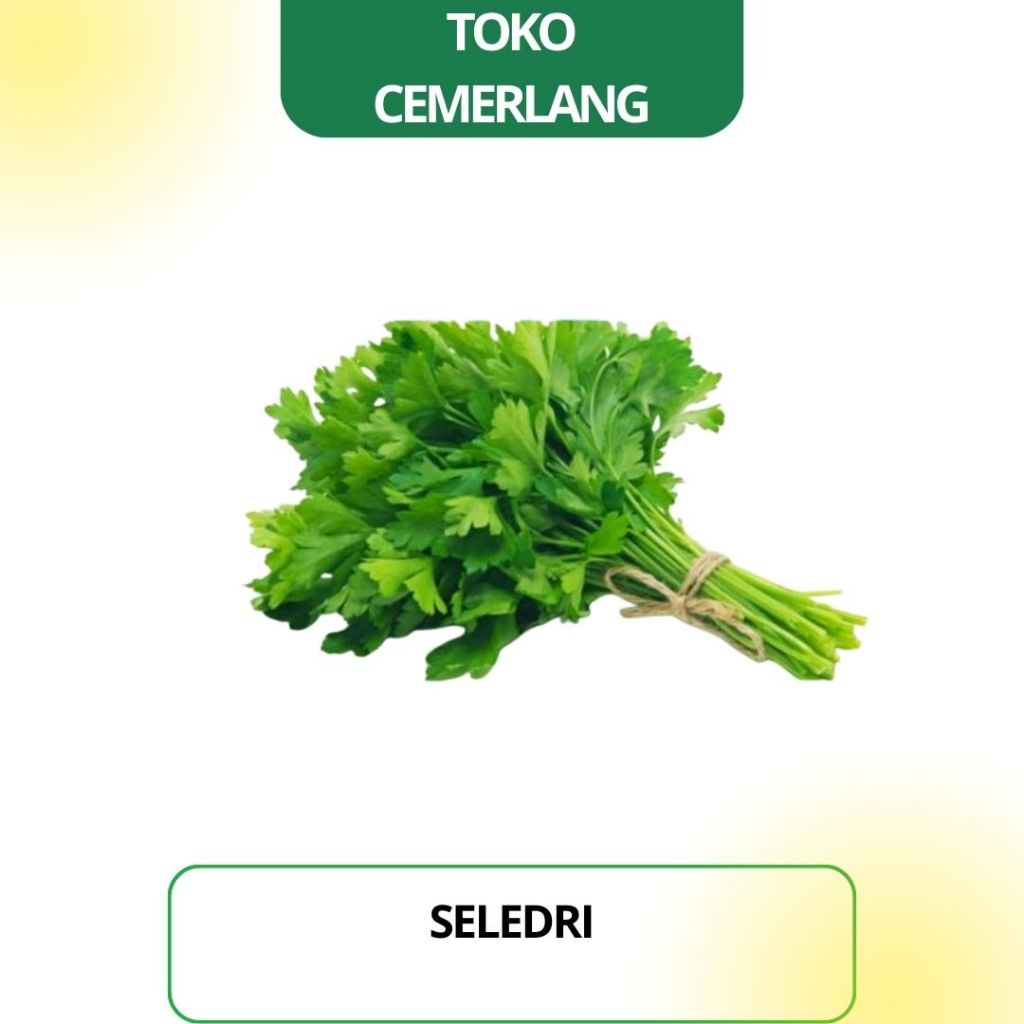 

Daun Seledri 100 gr / 250 gr / 500 gr / 1 kg
