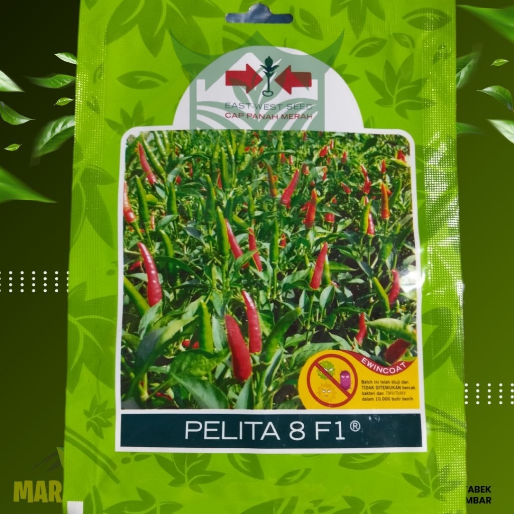 Benih Cabe Rawit PELITA 8 F1 // Bibit cabe rawit unggul ORI panah merah