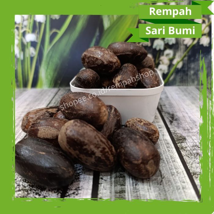 

Biji pala lonjong berkulit, Kualitas Export