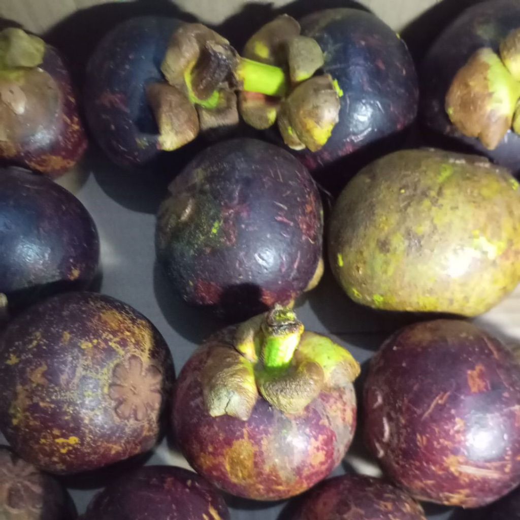 

Buah Manggis Mangis manis