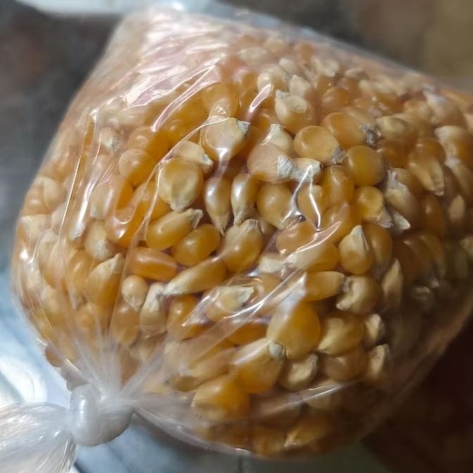 

Biji Jagung Pop corn Repack - 250 Gram