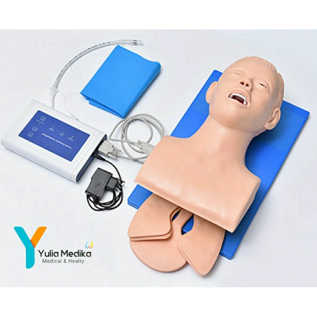 Phantom manikin intubasi airways dewasa / Phantom manikin intubasi dewasa