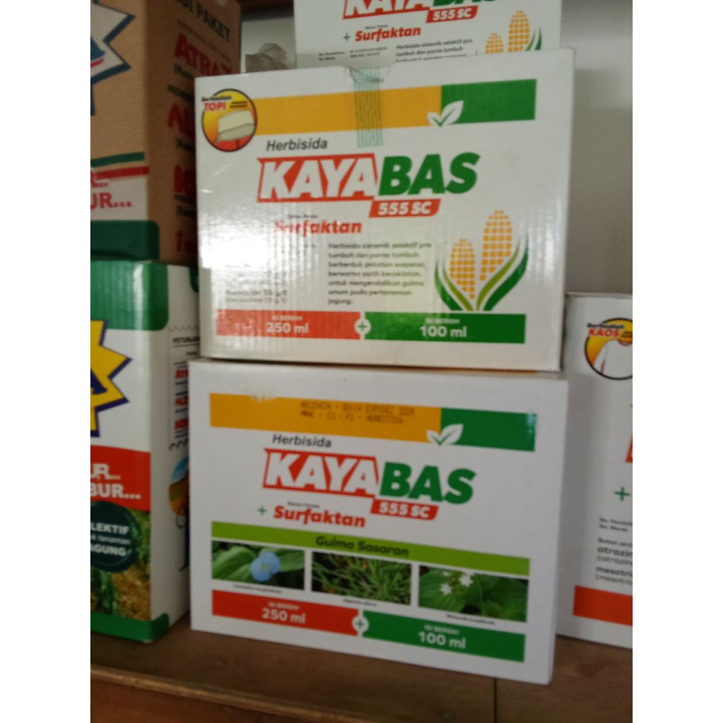 herbisida selektif jagung