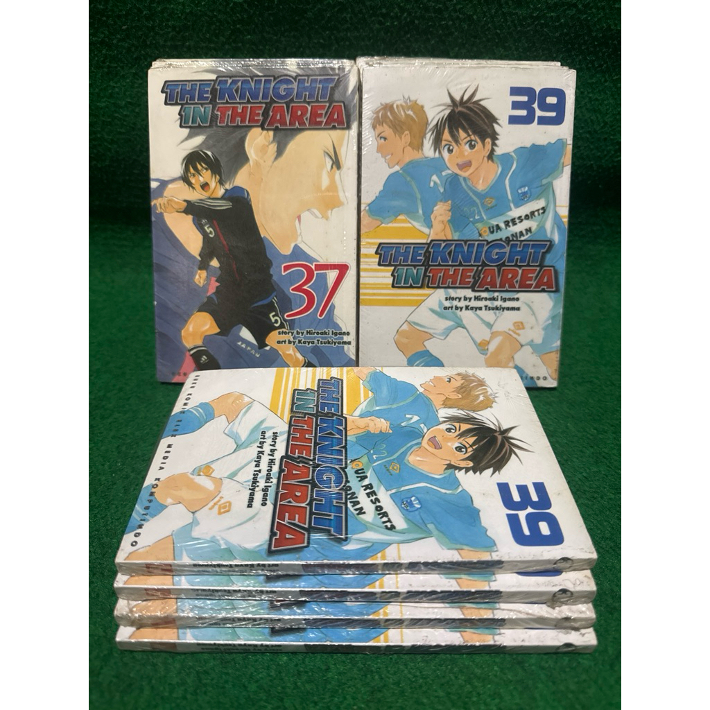 komik the knight in the area