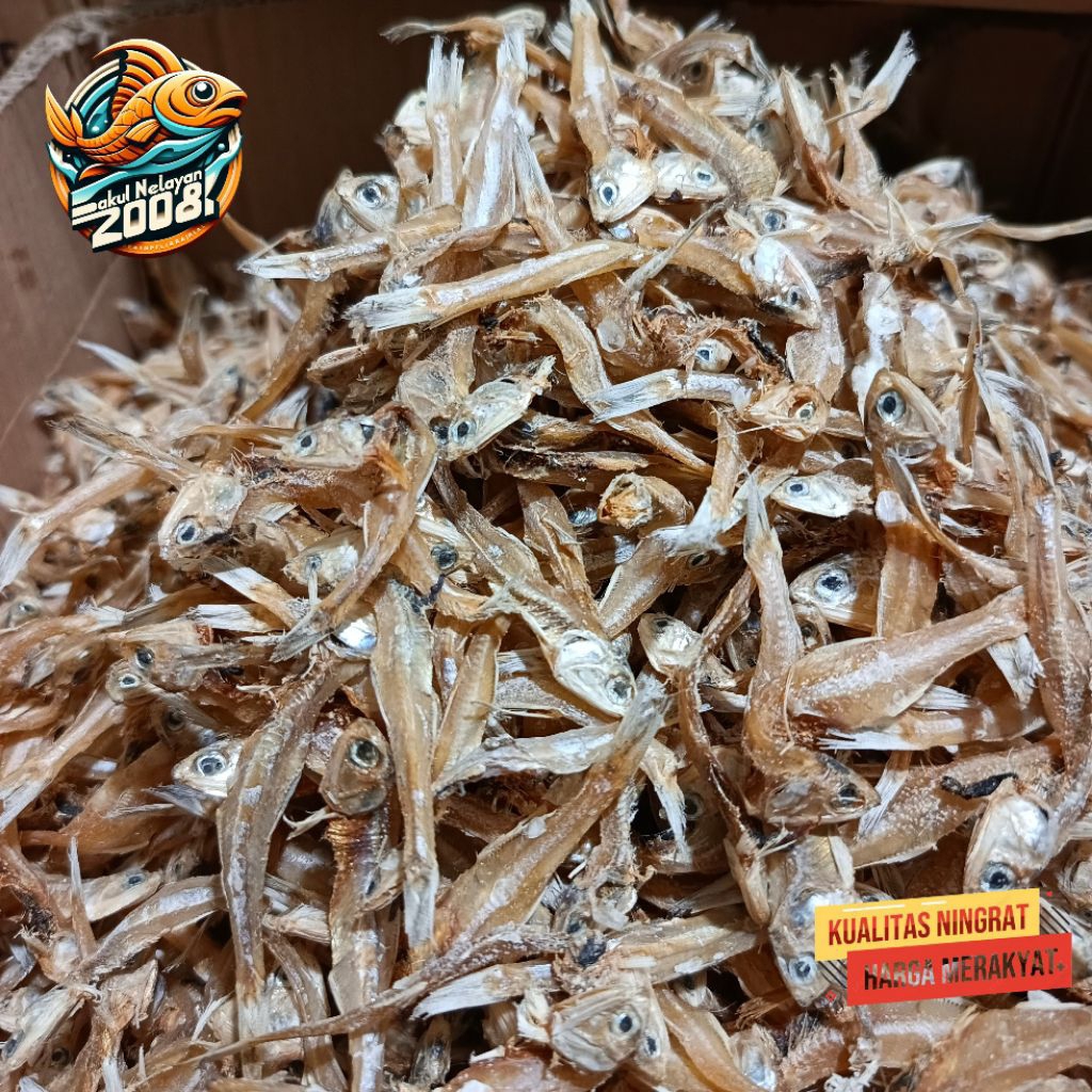 Ikan teri tawar padang | ikan teri tawar