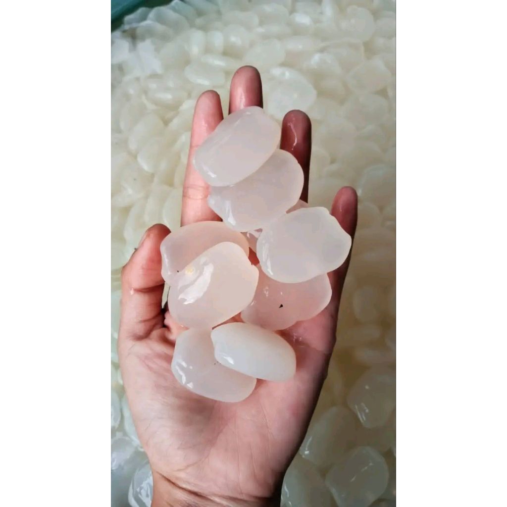 

grosir kolang Kaling kemasan 5 kg