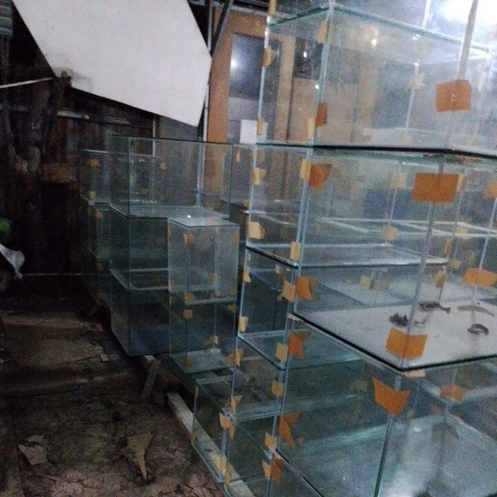 aqurium 60x30x30