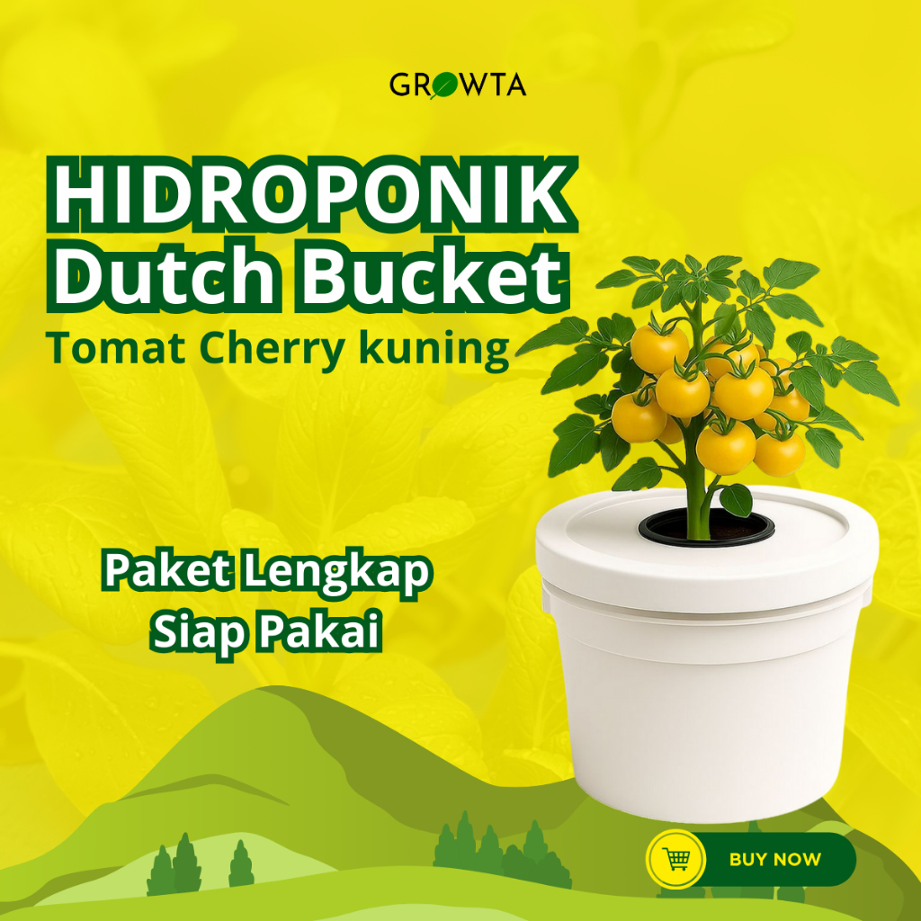 Paket Lengkap Hidroponik Pemula Dutch Bucket Tomat Cherry Kuning Wick System