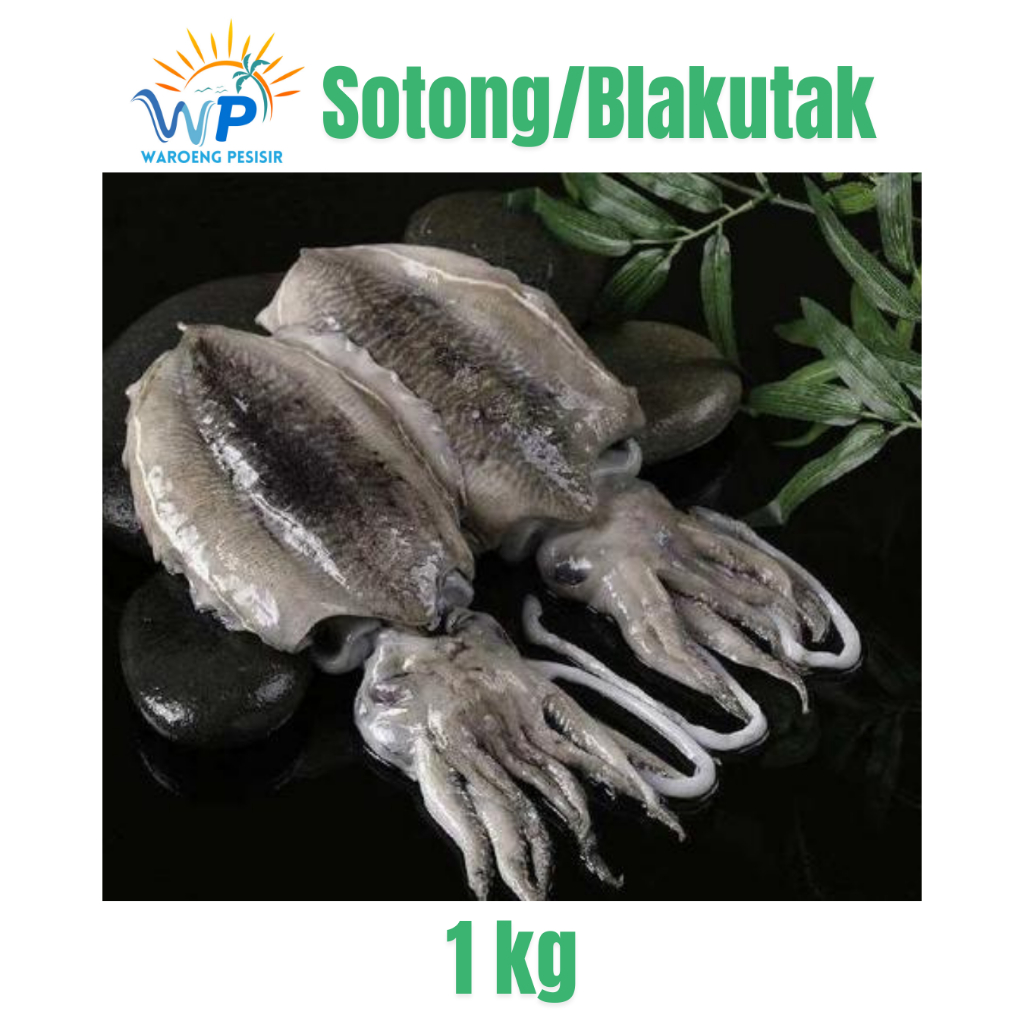 

SOTONG/BLAKUTAK FRESH - DIJUAL PER KILOGRAM
