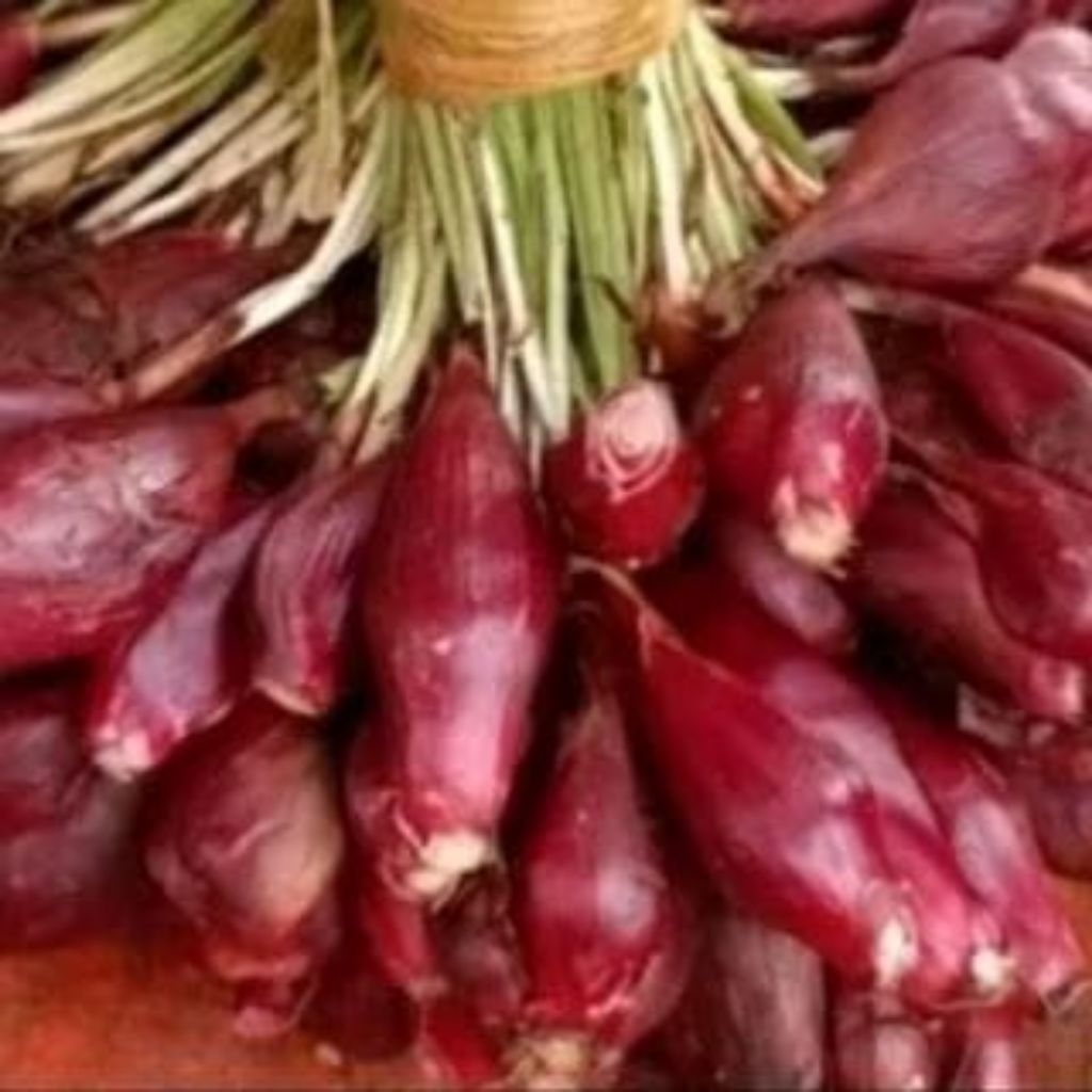 

bawang dayak segar paket 1,KG GRADE( ABC)besar sedang kecil