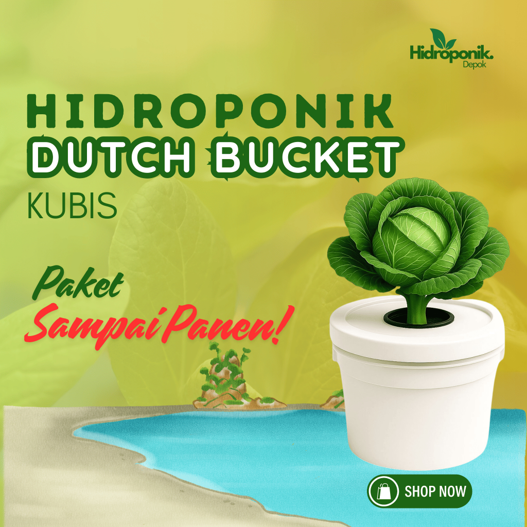 Paket Lengkap Hidroponik Pemula Dutch Bucket Tanaman Kubis System Wick