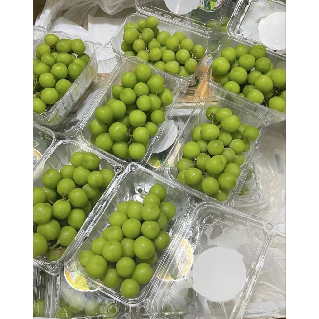 

ANGGUR MUSCAT PACK 500GR