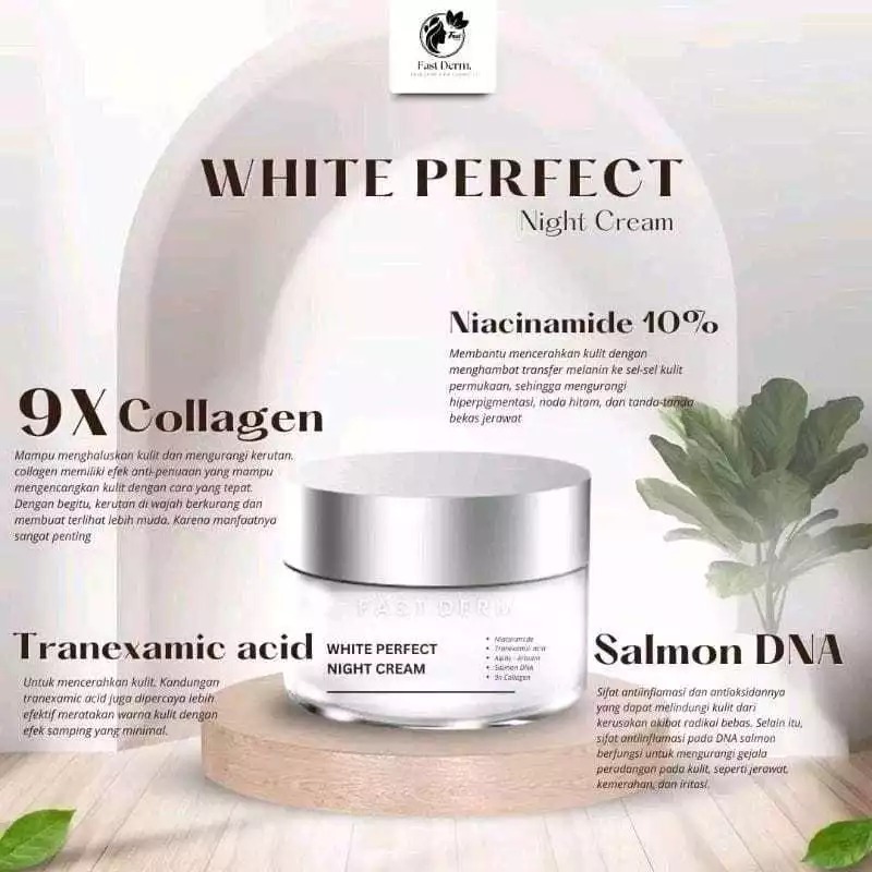 ❤️VIRGO❤️ Fast Derm Night Cream - Glowing Night - White Perfect - Perfect Purifying - Acne Whitening