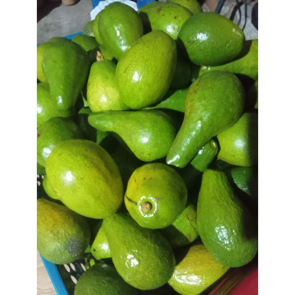 

Alpukat Mentega Super A 1 kg