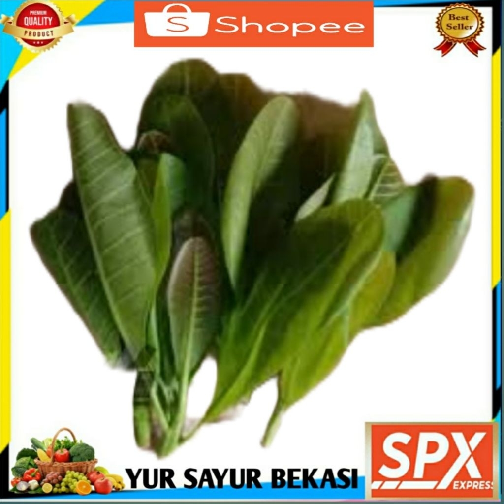 

Daun Mede/Daun Jambu Mede 2 ikat.