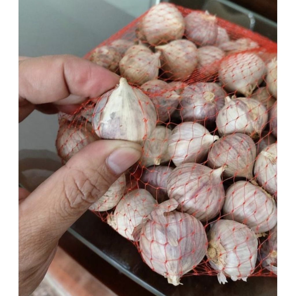 

Bawang putih tunggal/bawang putih lanang/solo garlic fresh panen baru 100gr