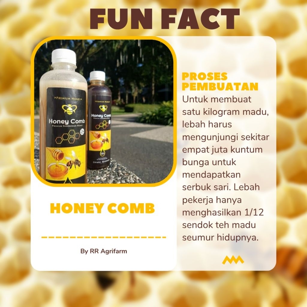 

Promo Kemerdekaan Madu Murni RR Honey Free Gift LM 0.001gr