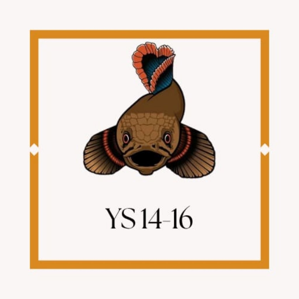 stiker ys 14-16 bar rapi full pelet