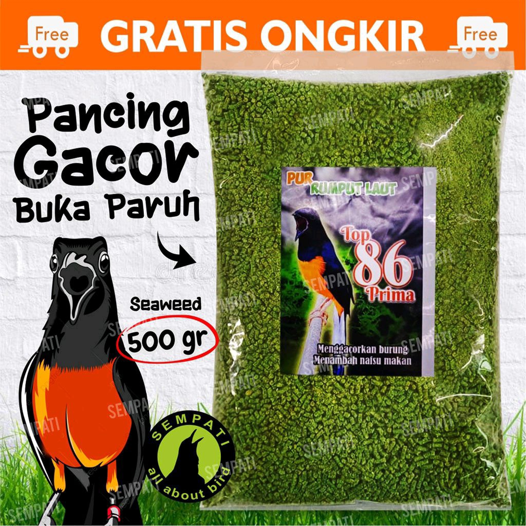 Pur Rumput Laut Top 86 Prima Voer Pakan Makanan Penggacor Burung Murai Kacer satu PERSACET