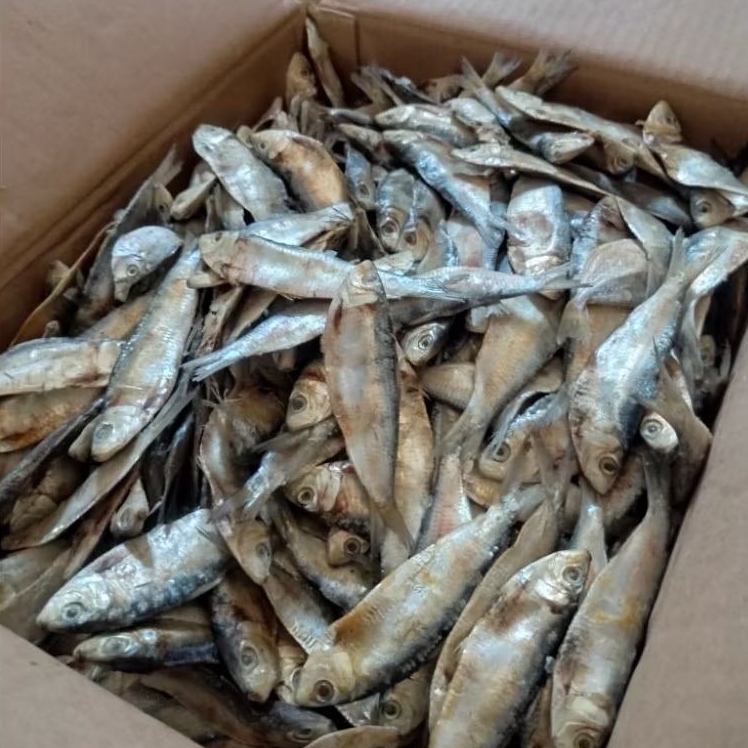 

IKAN TANJAN ASIN KERING 1 ONS (100 GRAM)