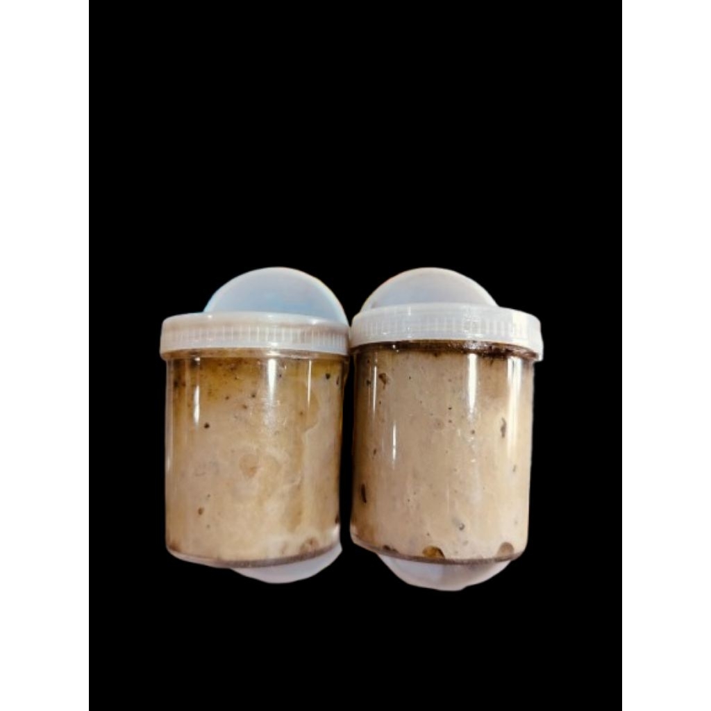 Getah pikat burung, pulut pikat burung. getah burung