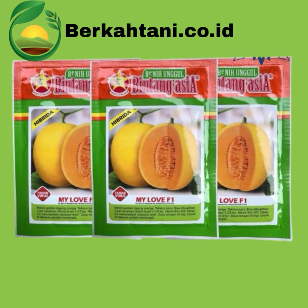 My Love 20gr Benih Melon Golden Bintang Asia Eksis