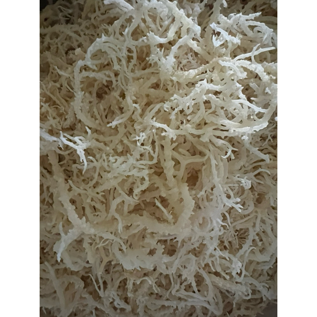 

Rumput laut Cottoni 1 KG putih kering normal