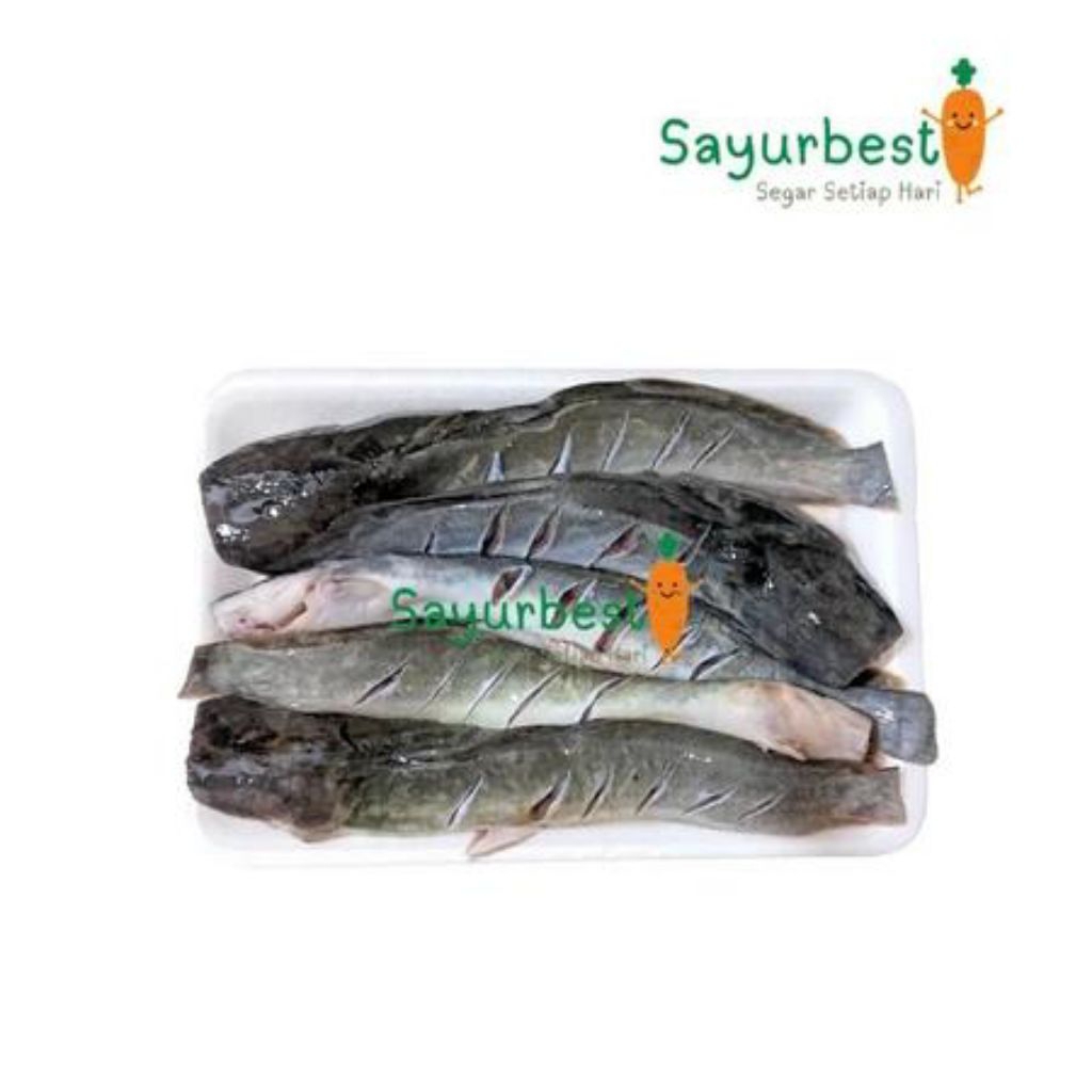 

ikan lele 500 gr mentah bersih ada bonus ⭐⭐⭐⭐⭐