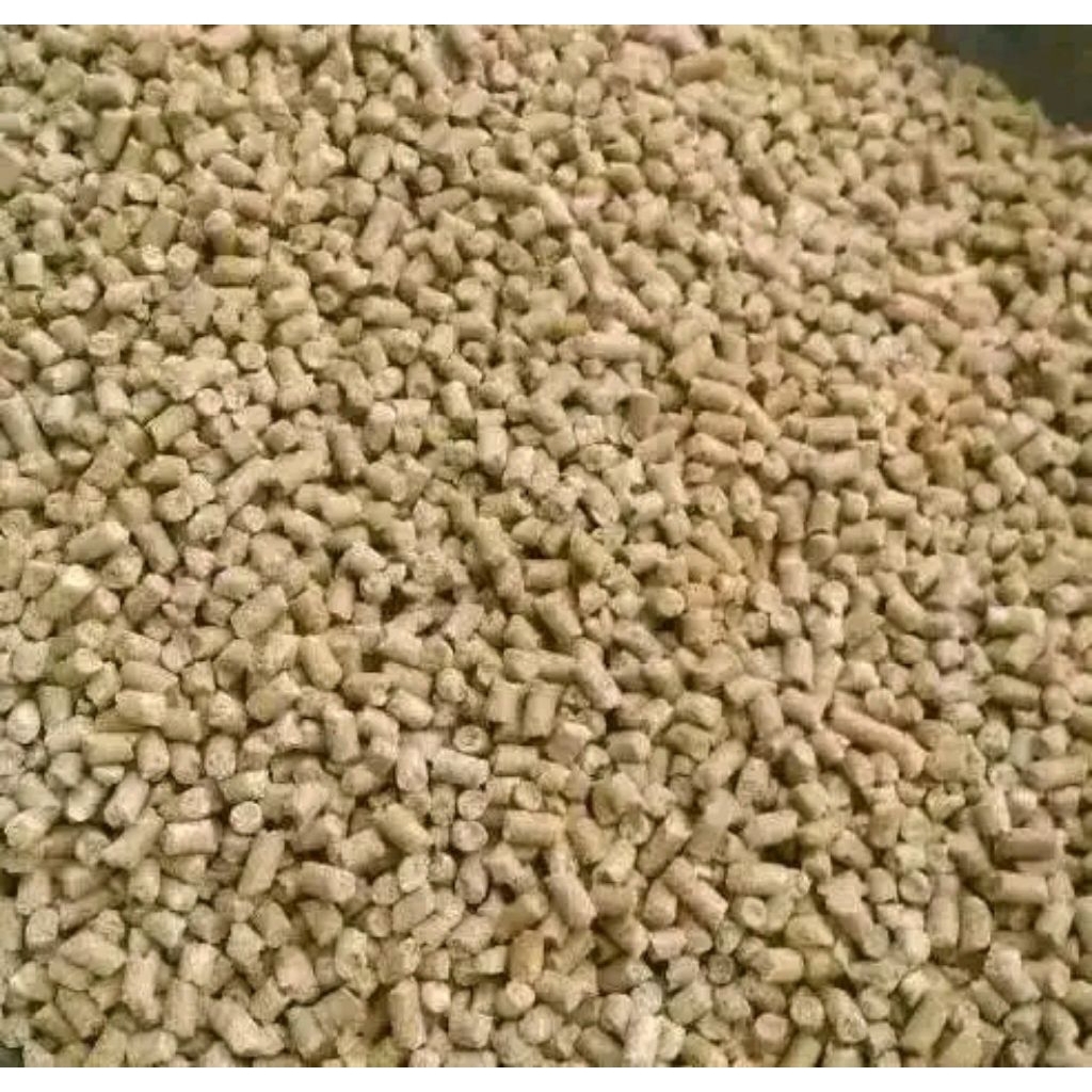 Pur B2 Untuk Ayam Dewasa ( ayam Bangkok)