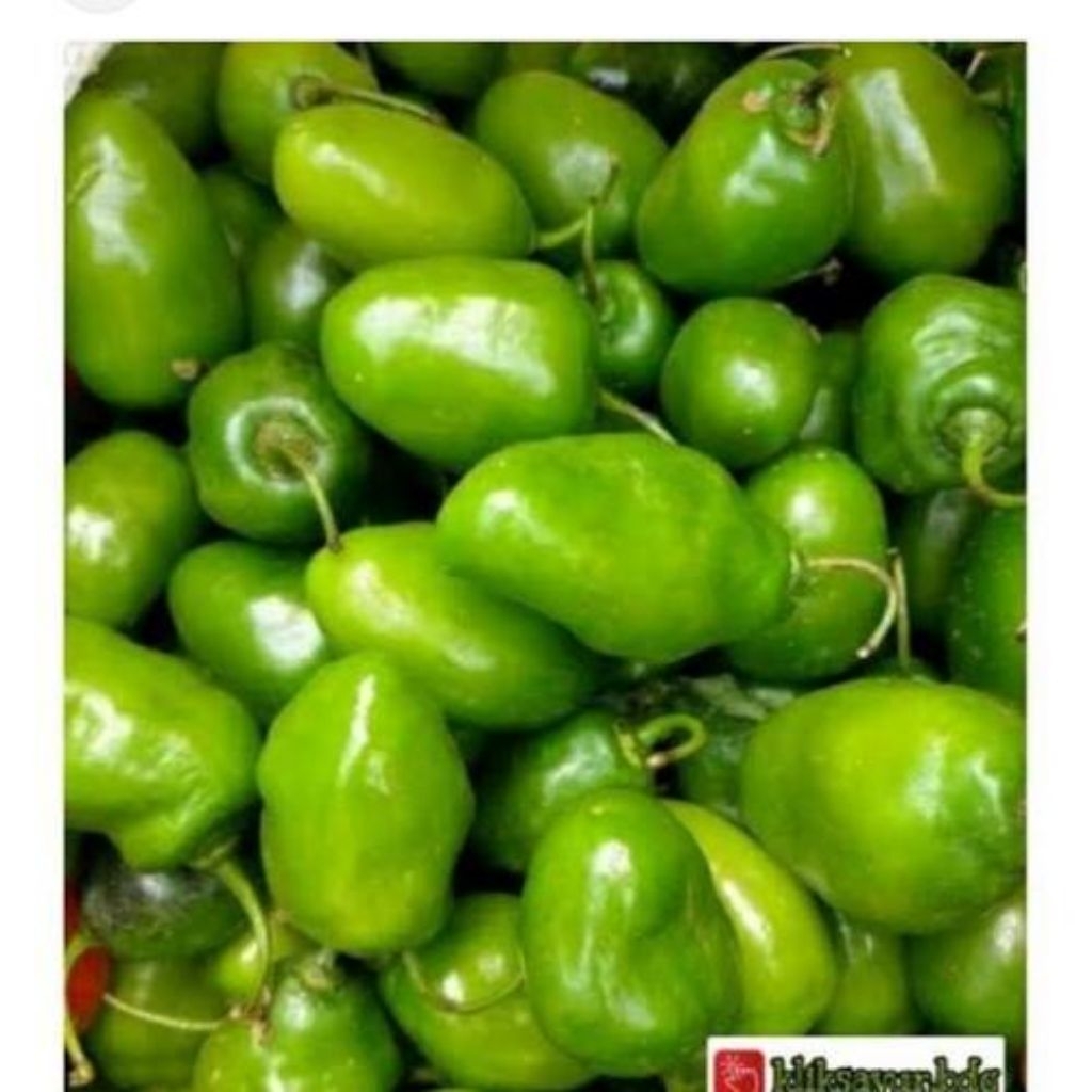 cabe gendot segar 1kg..