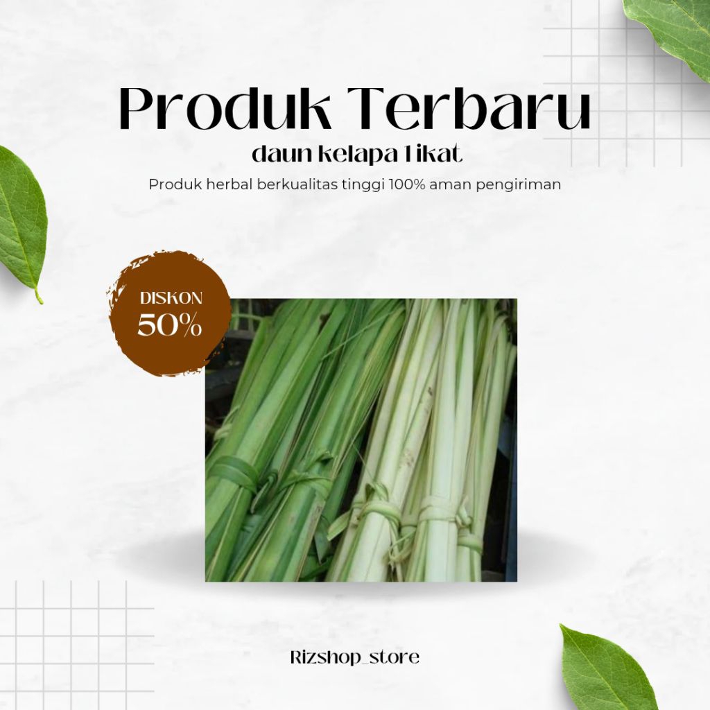 

20 lembar daun kelapa segar untuk bahan kerajinan