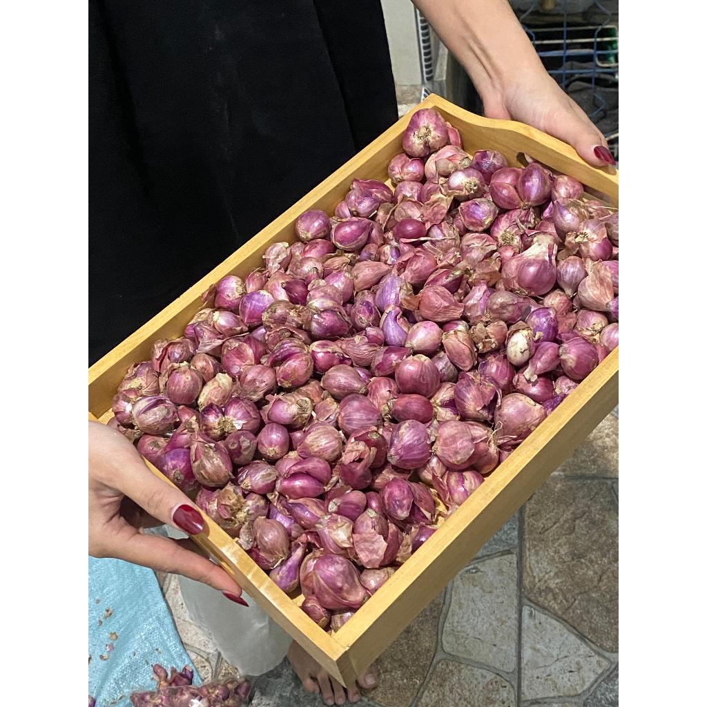 

Bawang Merah Fresh Langsung Petani Murah