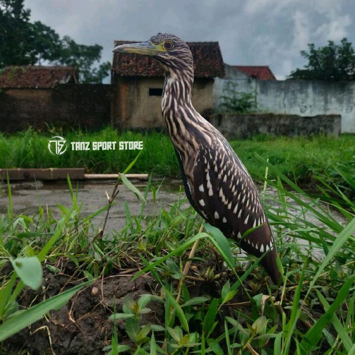 Boneka patung jontrot koak coklat - decoy burung goak rawa