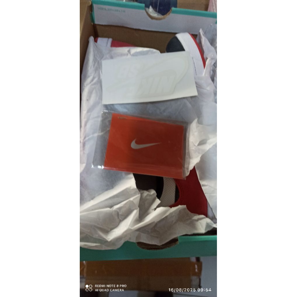 NIKE SB ALLEYOOP EUR 45(kardus sobek)